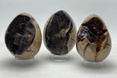 Dragons Egg Septarian Nodule